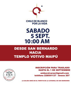 chiledeblancoporlavidaweb